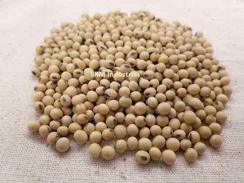 Soya bean seed